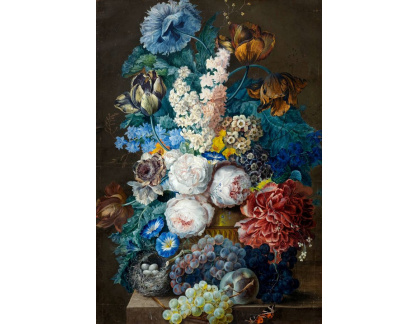 A-1464 Joseph Nigh - Zátiší s tulipány, pivoňkami a různým ovocem, ptačí hnízdo, mravenci a motýli