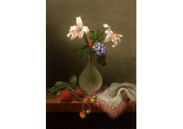 A-1478 Martin Johnson Heade - Váza kukuřičných lilií