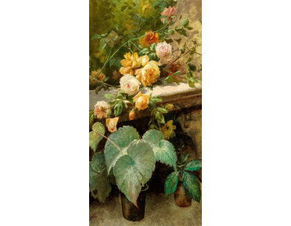 A-1515 Giacinto Bo - Růže a rostliny v květináčích