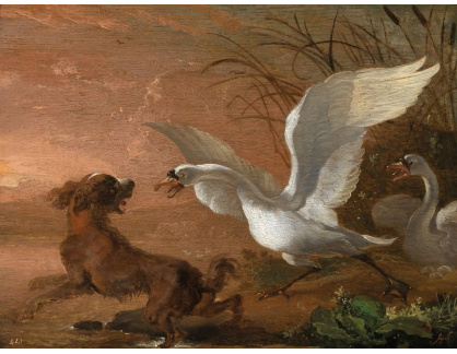 A-1621 Abraham Hondius - Labuť útočící na psa