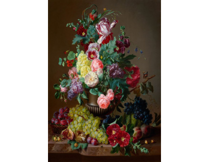 DDSO-4363 Amalie Kaercher - Zátiší s květinami a ovocem