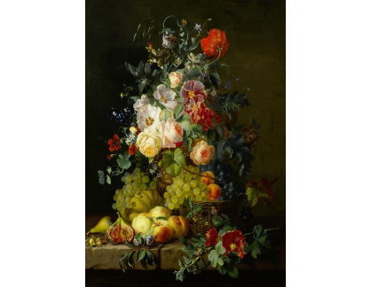 DDSO-4364 Amalie Kaercher - Zátiší s květinami a ovocem