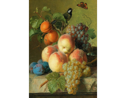 DDSO-4408 Jan Frans van Dael - Zátiší s ovocem