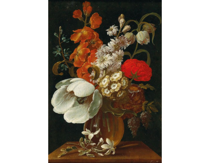DDSO-4428 Johann Careel - Zátiší s květinami