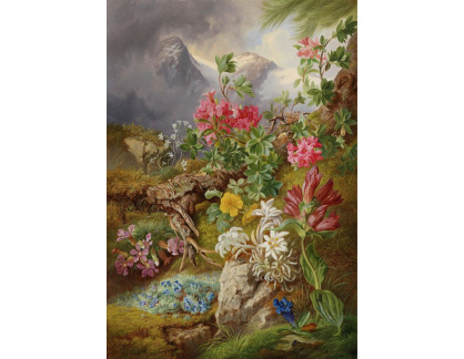 DDSO-4435 Josef Schuster - Zátiší s alpskými květinami