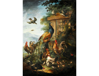 A-2815 Giovanni Crivelli - Páv, kohouti, slepice a další ptáci v krajině