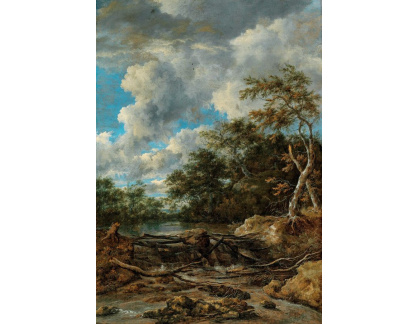 A-2865 Jacob van Ruisdael - Lesní krajina s vodopádem