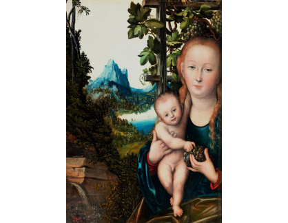 A-2914 Lucas Cranach - Madonna s dítětem
