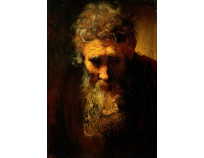A-2956 Rembrandt - Studie starého muže