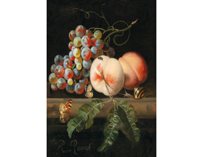 DDSO-4473 Willem van Aelst - Zátiší s ovocem