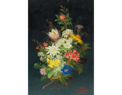 DDSO-4659 Anna Stainer-Knittel - Kytice alpských květin
