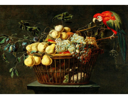 DDSO-4477 Adriaen van Utrecht - Zátiší s ovocem a papouškem
