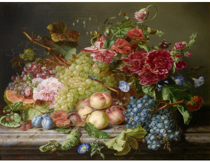 DDSO-4601 Amalie Kaercher - Zátiší s květinami a ovocem