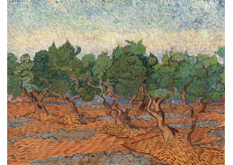 A-3191 Vincent van Gogh - Olivový háj