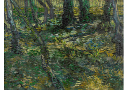 A-3192 Vincent van Gogh - Podrost