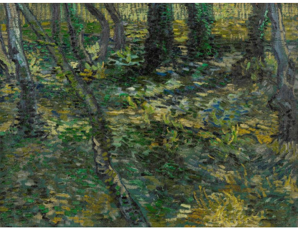 A-3192 Vincent van Gogh - Podrost