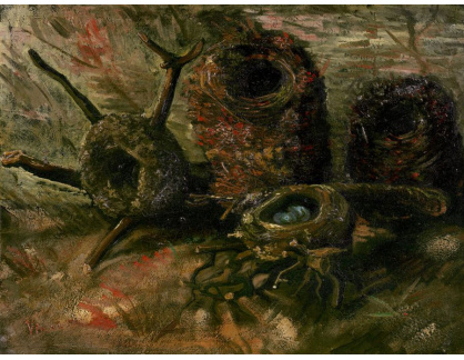 A-3193 Vincent van Gogh - Ptačí hnízda