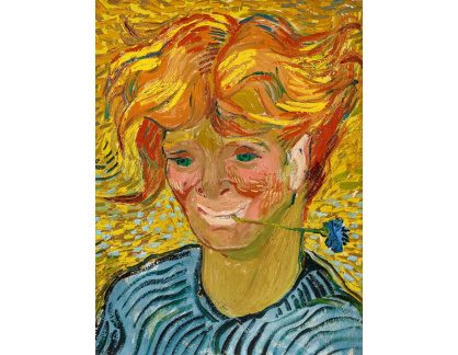 A-3237 Vincent van Gogh - Portrét mladého muže s chrpou