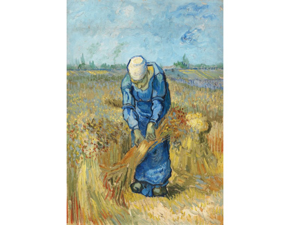 A-3265 Vincent van Gogh - Vázáni snopů