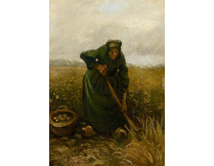A-3268 Vincent van Gogh - Žena kopající brambory