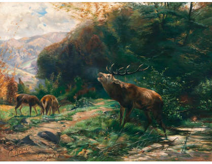 A-3602 Johann Christian Kroner - Řvoucí jelen s laněmi na lesní mýtině