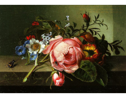 DDSO-4589 Rachel Ruysch - Zátiší s růží, hmyzem a včelou