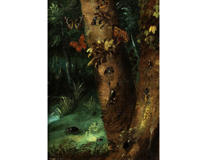 A-4938 Otto Marseus van Schrieck - Kmen stromu s motýly a brouky