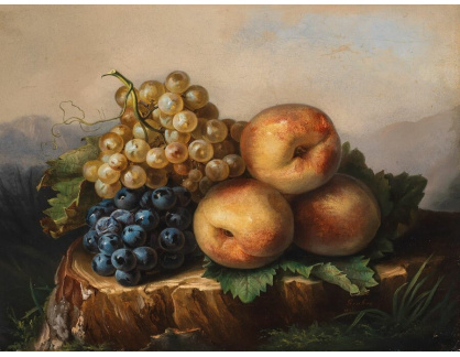 A-5098 Franz Xaver Gruber - Zátiší s jablky a hrozny