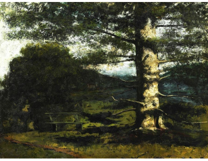 A-5111 Gustave Courbet - Cedr z Hauteville