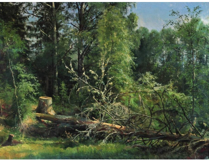 A-5138 Ivan Šiškin - Pokácený strom