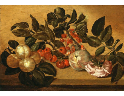 A-5293 Batholomeus Assteijn - Třešně, broskev, jiné ovoce a růže na kamenném podstavci