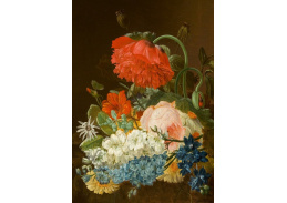A-5803 Vincent van der Vinne - Zátiší s květinami