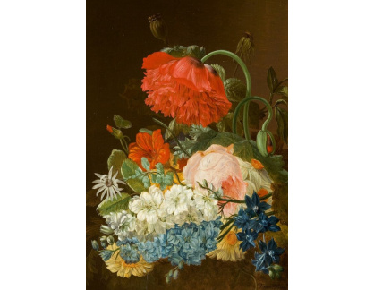 A-5803 Vincent van der Vinne - Zátiší s květinami
