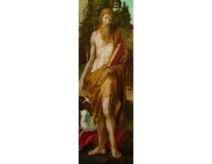 VR12-57 Albrecht Dürer - Jan Křtitel