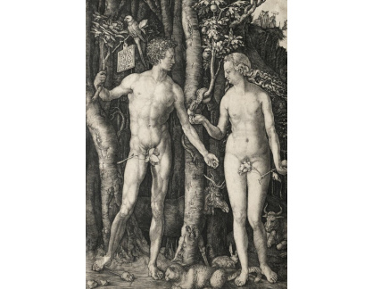 VR12-104 Albrecht Dürer - Eva a Adam
