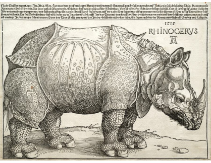 VR12-178 Albrecht Dürer - Nosorožec