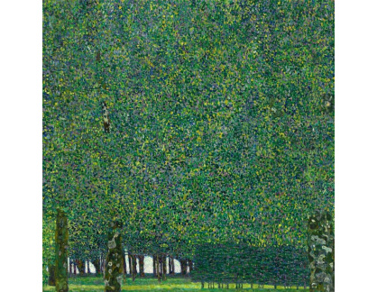 A-6709 Gustav Klimt - Park