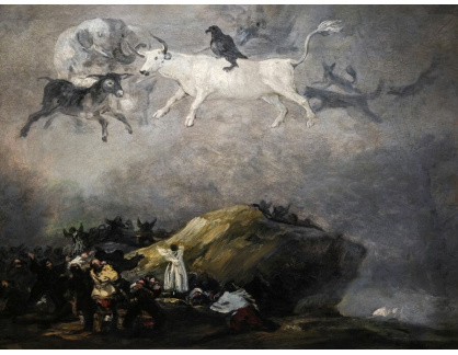 A-6899 Francisco de Goya - Rozmar