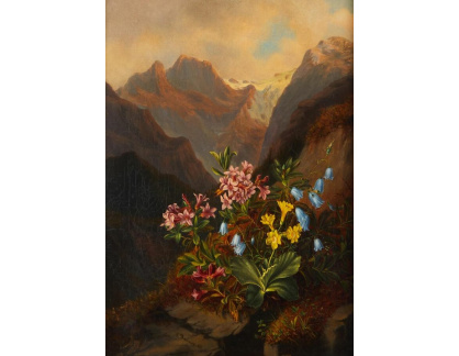 A-7789 George Daumer - Alpské květiny