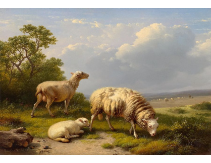 DDSO-3349 Eugene Joseph Verboeckhoven - Tři ovce na pastvinách