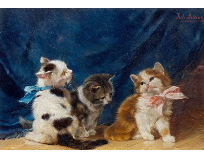 DDSO-3881 Julius Adam - Tři koťata s mašlí