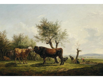 DDSO-4983 Friedrich Gauermann - Kráva a býk na pastvě