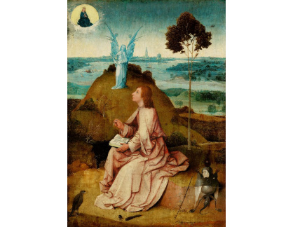 DDSO-2754 Hieronymus Bosch - Svatý Jan Evangelista na Patmu