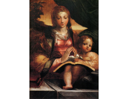 DDSO-2944 Parmigianino - Madonna Doria
