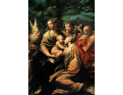 DDSO-2948 Parmigianino - Madonna se svatou Margaretou