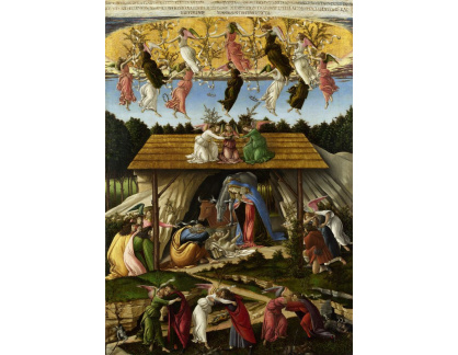 DDSO-3001 Sandro Botticelli - Mystické narození
