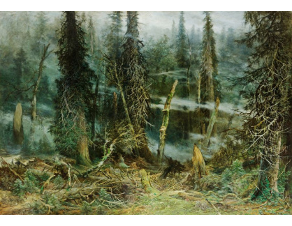 D-5645 Julius Mařák - Šumavský prales