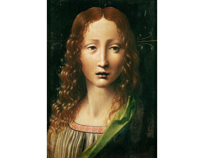 VR1-30 Leonardo da Vinci - Hlava dvanáctiletého Krista