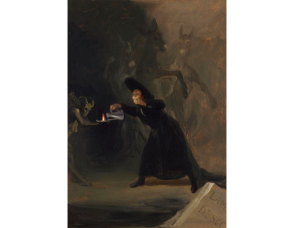 D-6290 Francisco de Goya - Poblouzněný muž