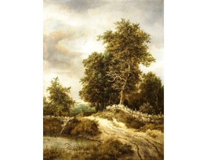 D-6129 Jacob van Ruisdael - Cesta